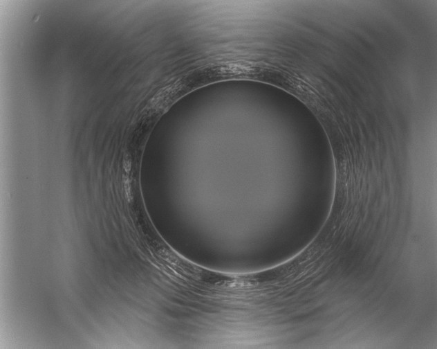 X0000057070223200510010142