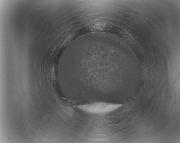 X0000057070224200510010142