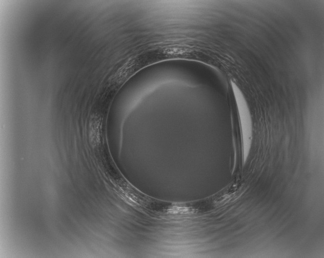 X0000057070227200510010142