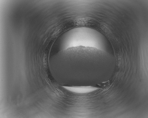 X0000057070228200510010142