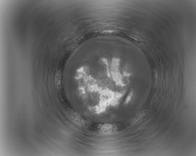 X0000057070230200510010142