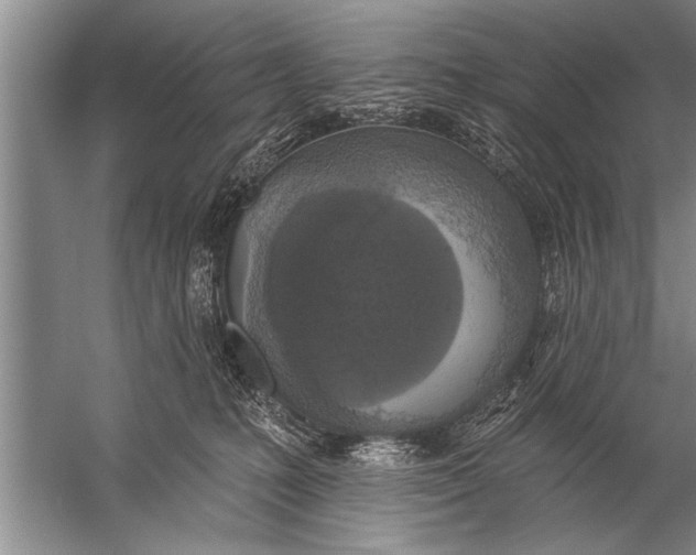 X0000057070231200510010142