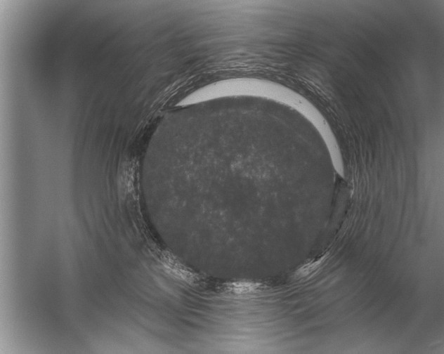 X0000057070233200510010142