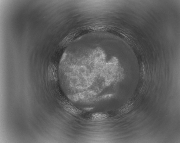 X0000057070234200510010142