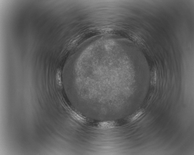 X0000057070238200510010141