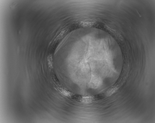 X0000057070240200510010141