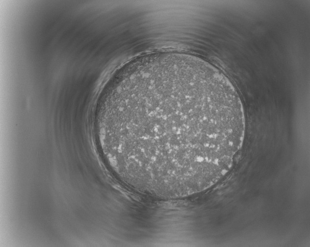 X0000057070241200510010141