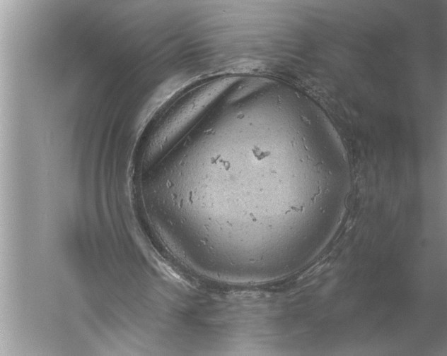 X0000057070242200510010141