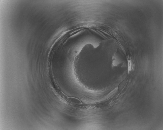 X0000057070243200510010141