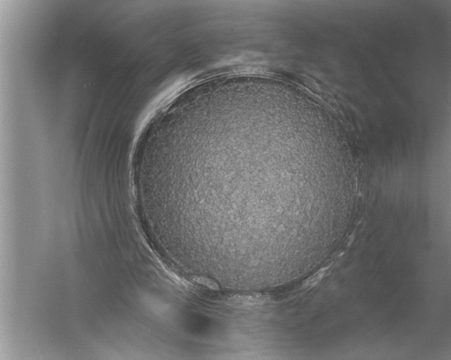 X0000057070245200510010141