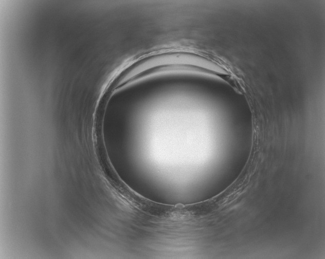 X0000057070248200510010141