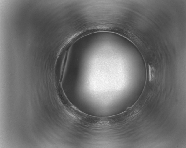 X0000057070252200510010141