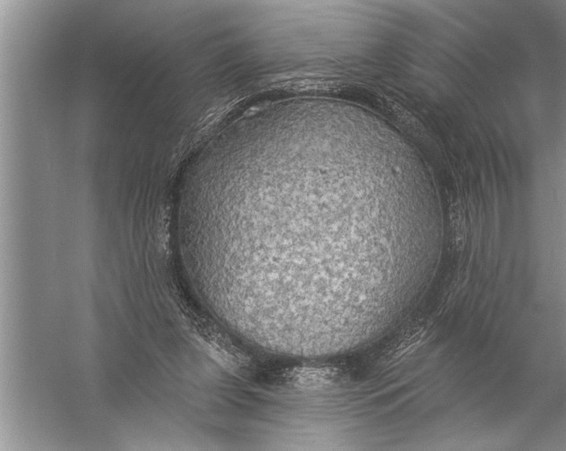 X0000057070255200510010141