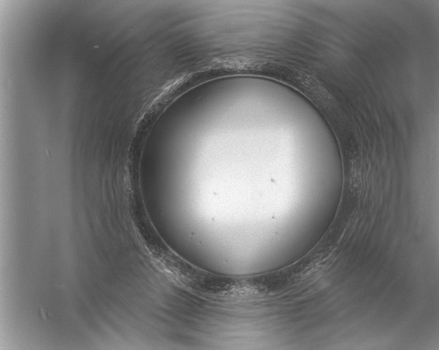 X0000057070256200510010141