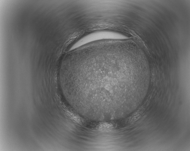 X0000057070257200510010141