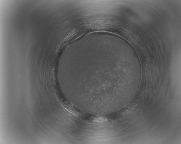 X0000057070258200510010141