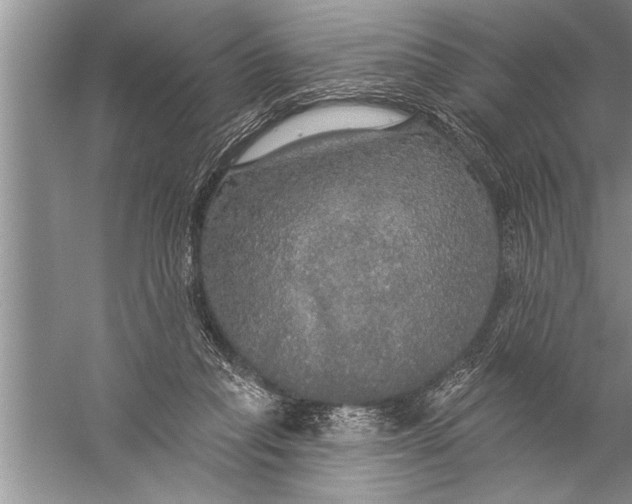 X0000057070261200510010141