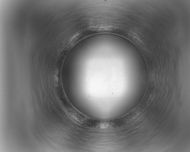 X0000057070264200510010141