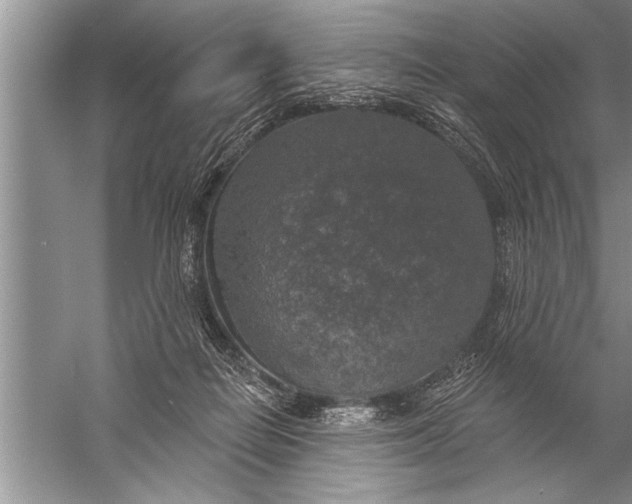 X0000057070266200510010141