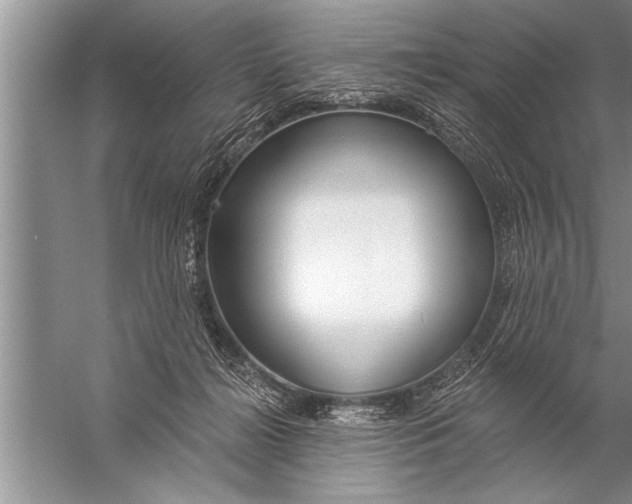 X0000057070268200510010141