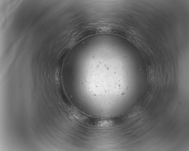 X0000057070274200510010141