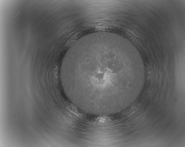 X0000057070275200510010141