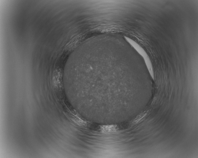 X0000057070281200510010141