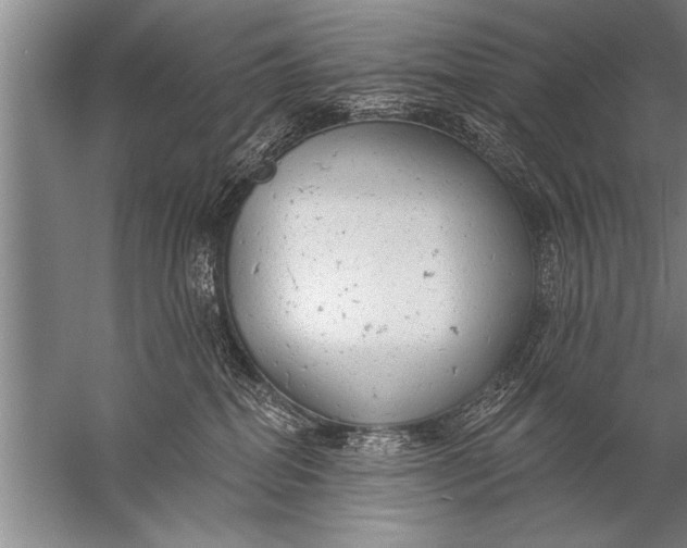 X0000057070282200510010141