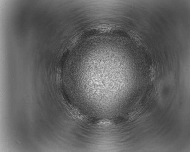 X0000057070283200510010141