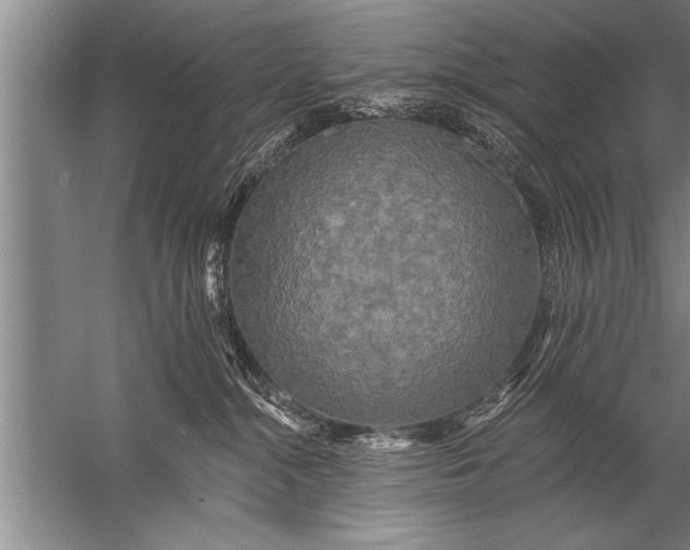 X0000057070284200510010141