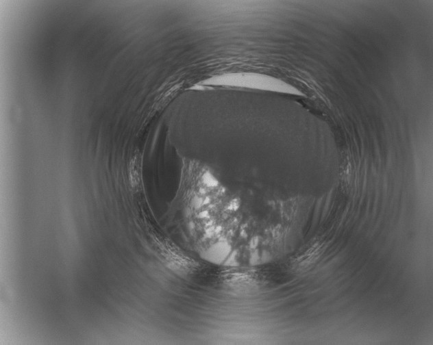 X0000057070285200510010141