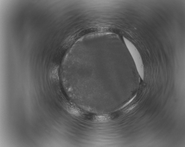 X0000057070286200510010141