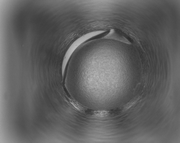 X0000057070288200510010141