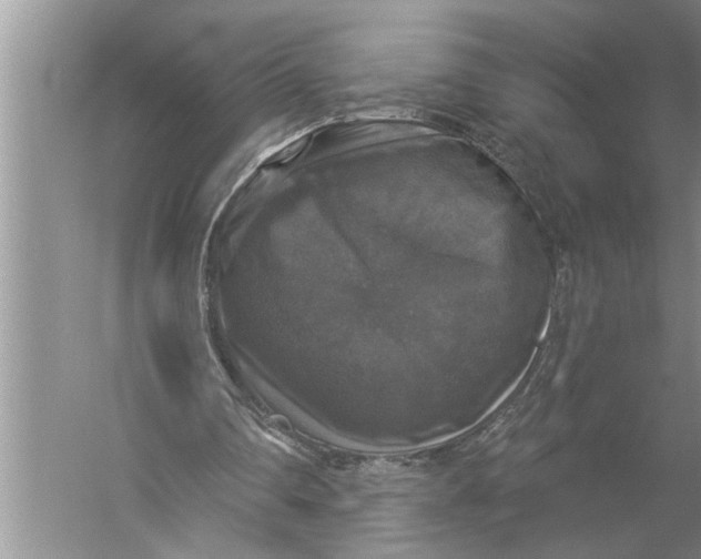 X0000057070290200510010141