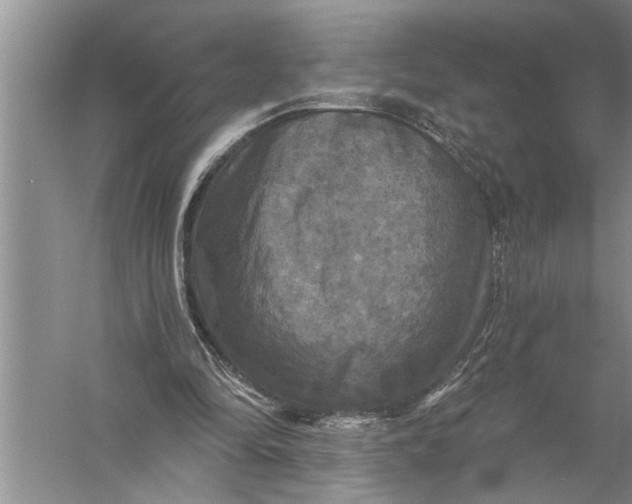 X0000057070294200510010141