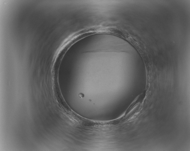 X0000057070295200510010141