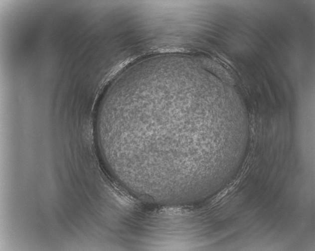 X0000057070298200510010140