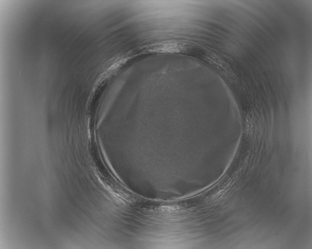 X0000057070302200510010140