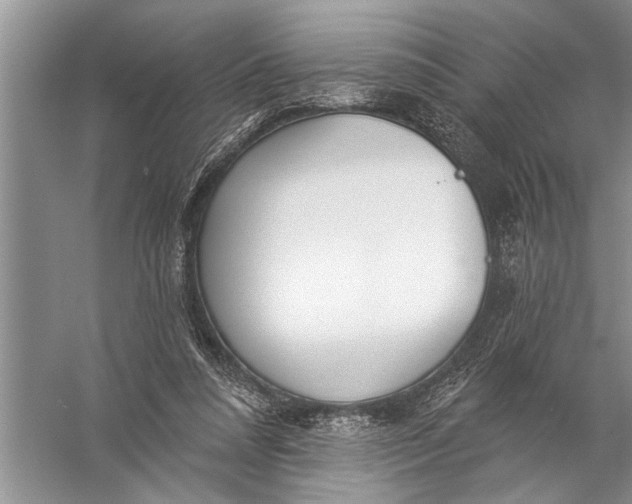 X0000057070304200510010140