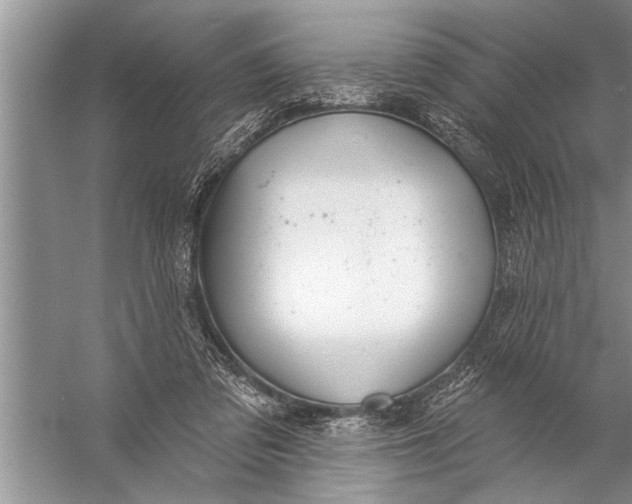 X0000057070309200510010140