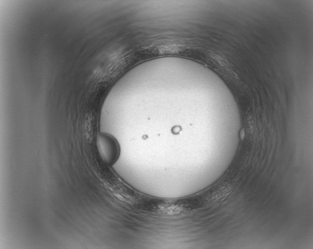 X0000057070311200510010140