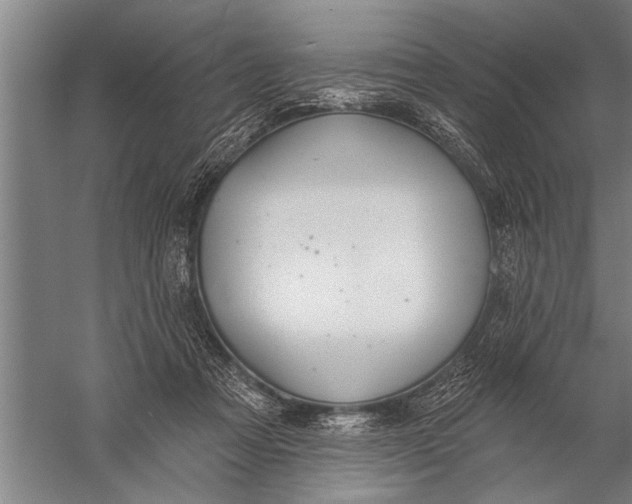 X0000057070313200510010140