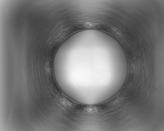 X0000057070317200510010140