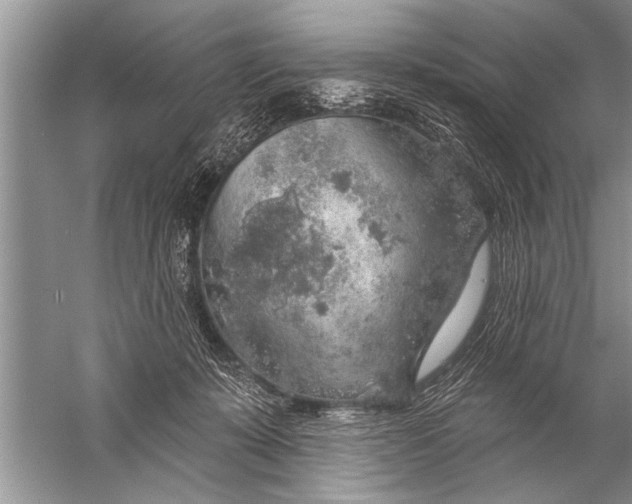 X0000057070319200510010140