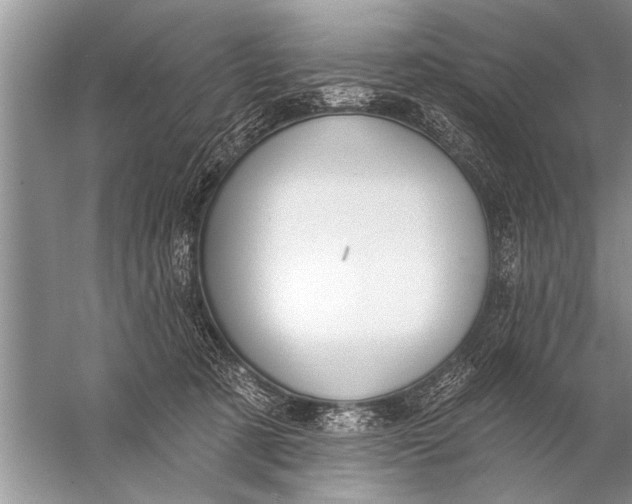 X0000057070321200510010140