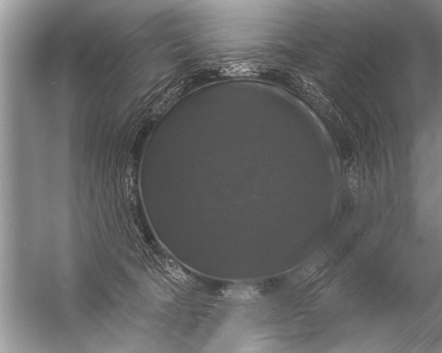 X0000057070322200510010140