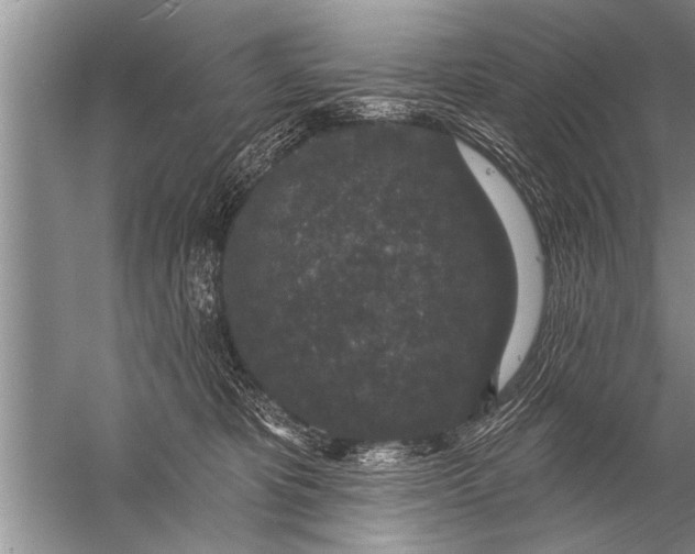 X0000057070325200510010140