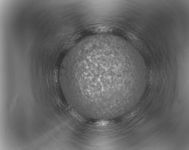 X0000057070326200510010140