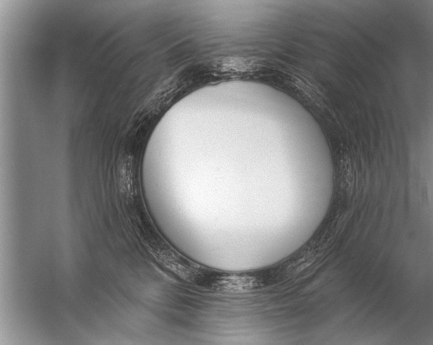 X0000057070328200510010140