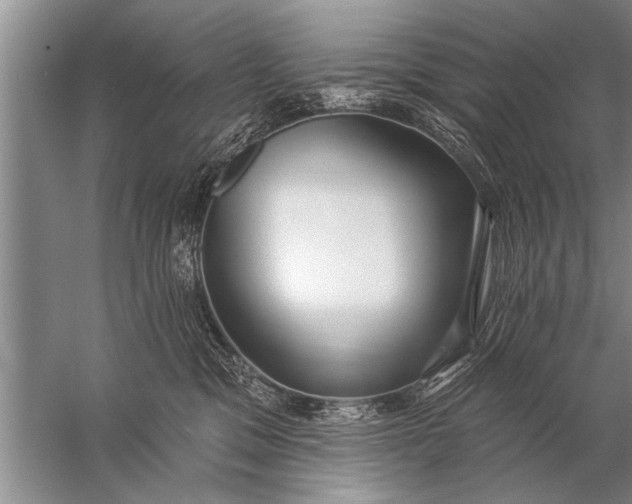 X0000057070329200510010140